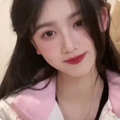 聪明的鸭子