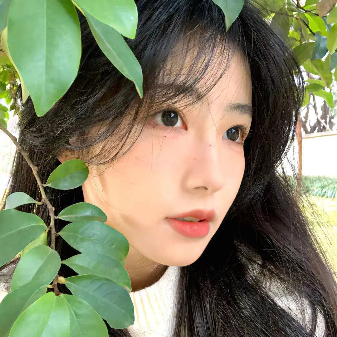 月光光心慌慌5